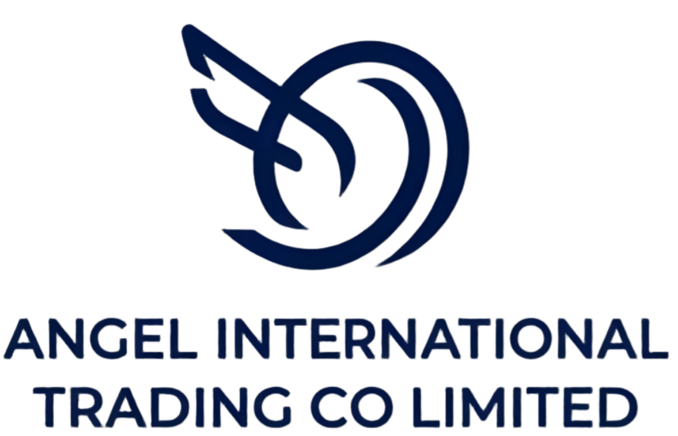ANGEL INTERNATIONAL TRADING CO LIMITED